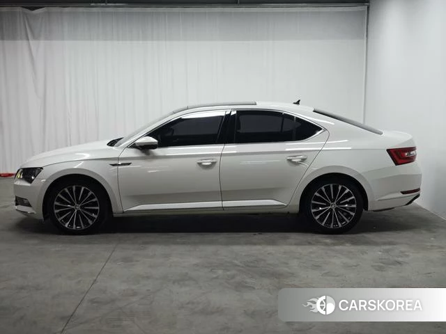 Skoda Speed pie 2019 Белый из Китая, фото 5