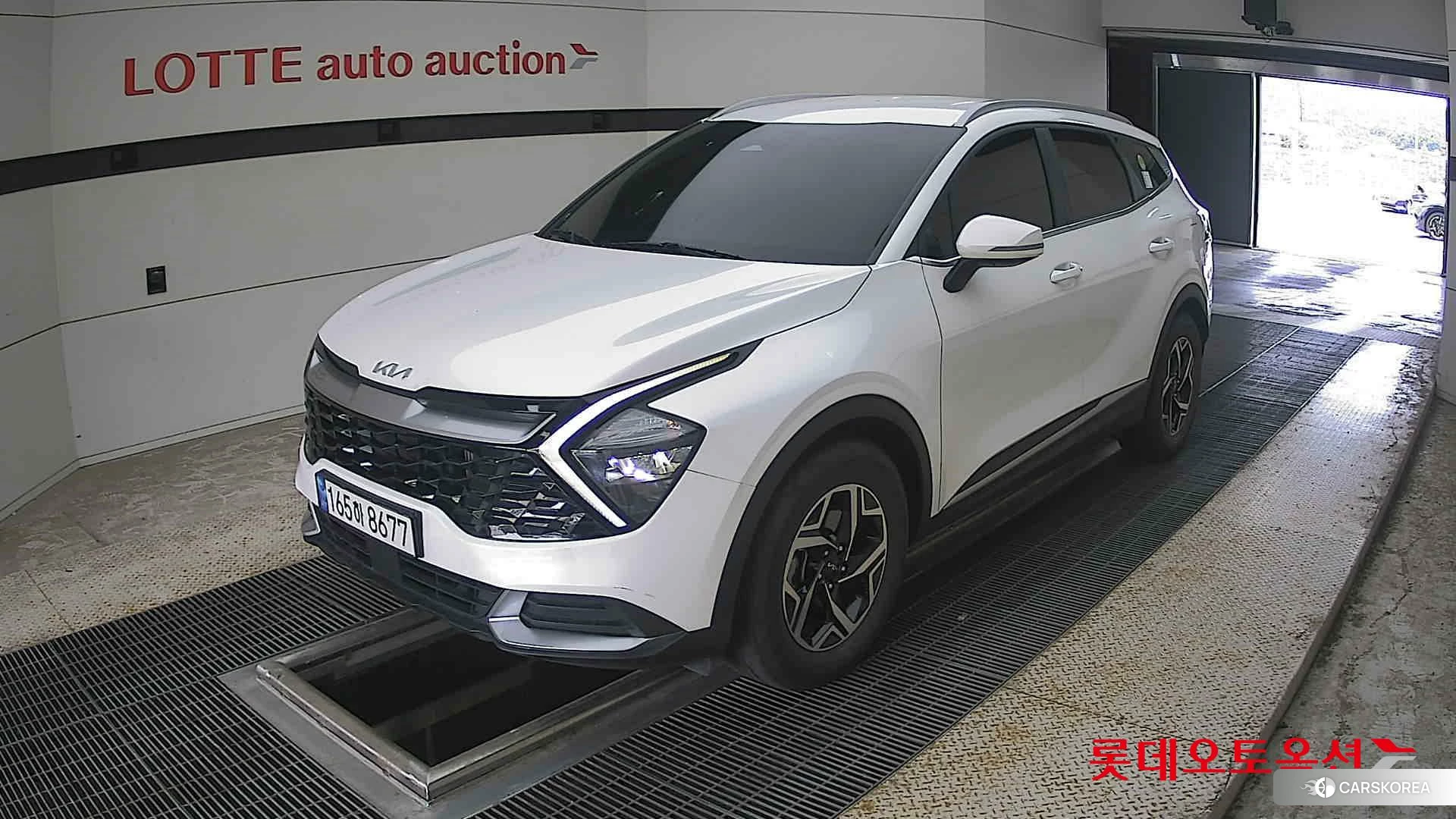 Kia Sportage 2022 Snow White Pearl (optional) из Кореи, фото 5