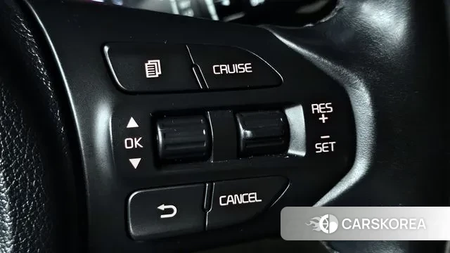 Kia The New Carnival 2018 Белый из Кореи, фото 5