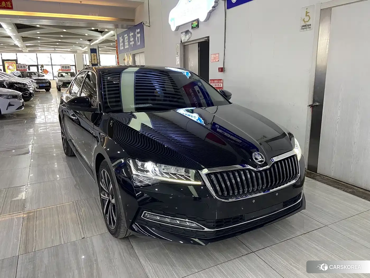 Skoda Speed pie 2023 Черный из Китая, фото 5