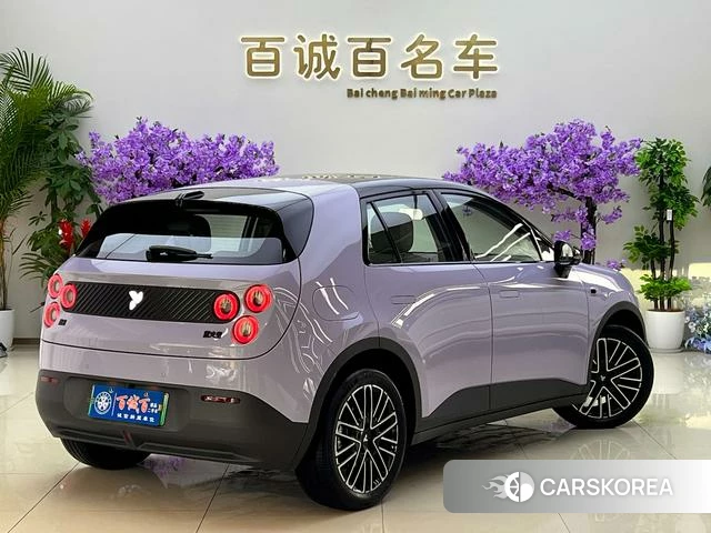 firefly firefly Unknown 2025 Темно-серый из Китая, фото 5