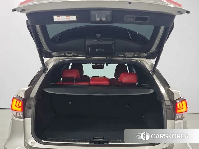 Lexus RX 2020 Шампань из Китая, фото 5