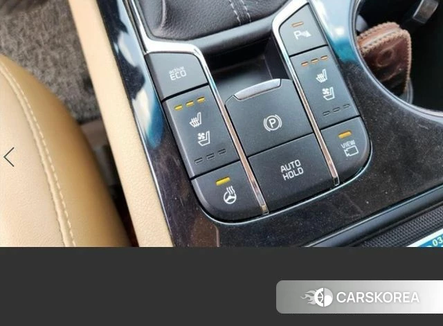 Kia The New Carnival 2018 Белый из Кореи, фото 5