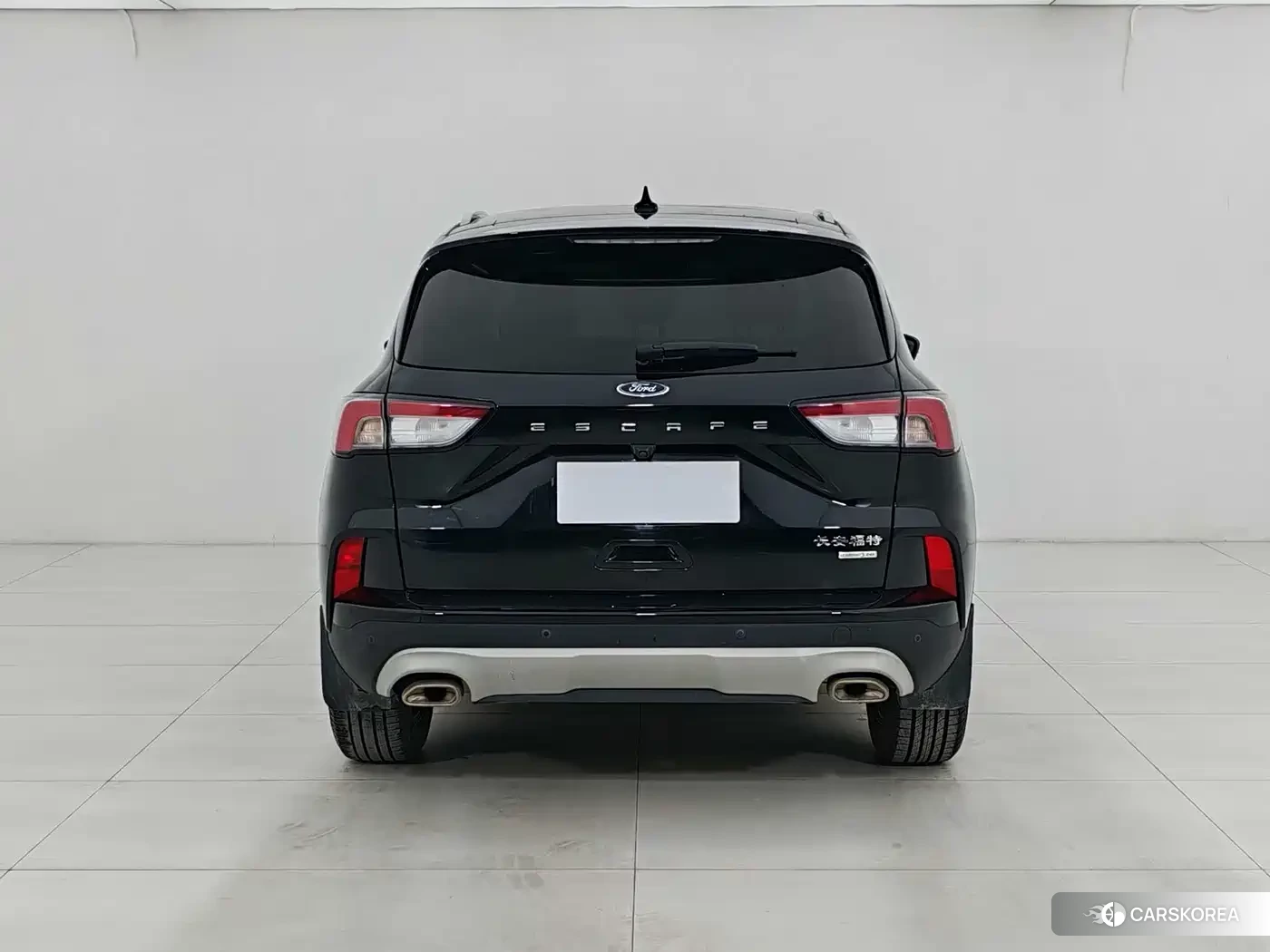 Ford Ruiji 2023 Черный из Китая, фото 5