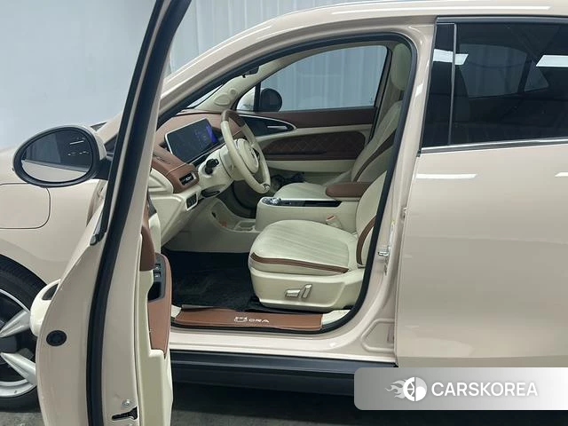 Euler Good cat 2022 Другой из Китая, фото 5