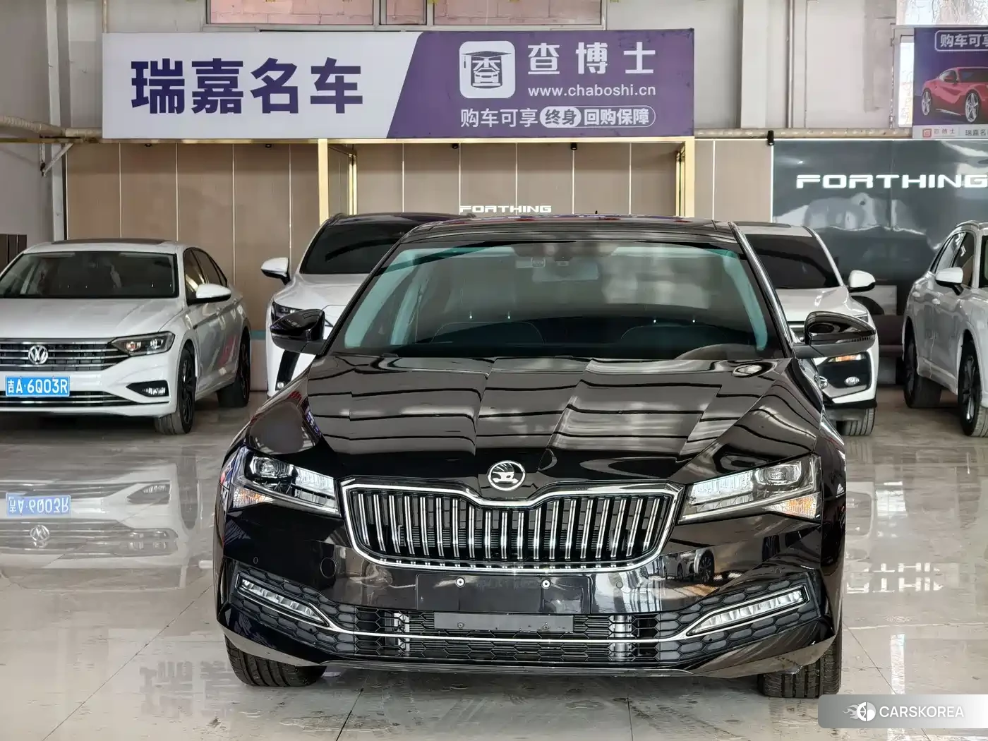 Skoda Speed pie 2023 Черный из Китая, фото 5