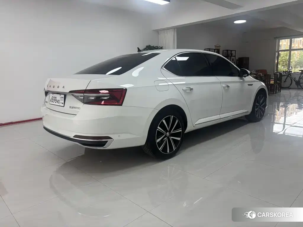 Skoda Speed pie 2023 Белый из Китая, фото 5