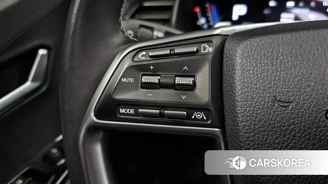 Ssangyong Torres 2022 Цвет тростника из Кореи, фото 5