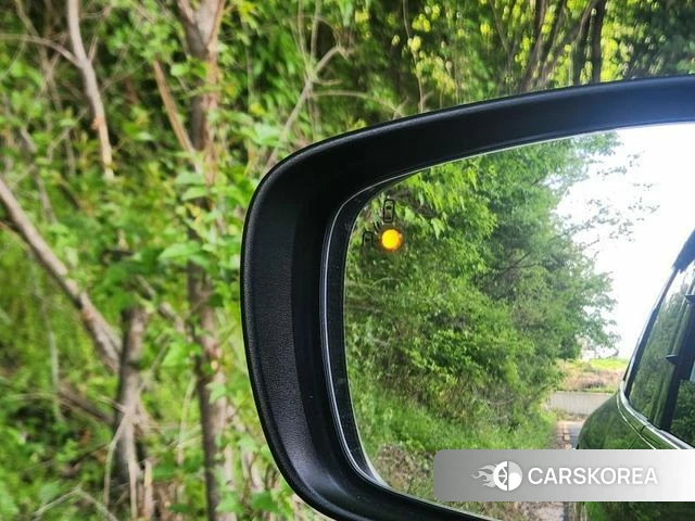 Renault Korea (Samsung) The New QM6 2019 Серый из Кореи, фото 5