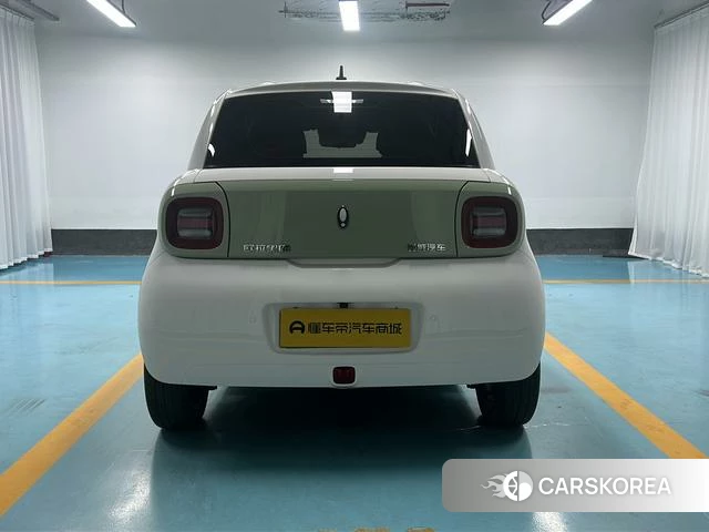 Euler Black cat 2022 Другой из Китая, фото 5