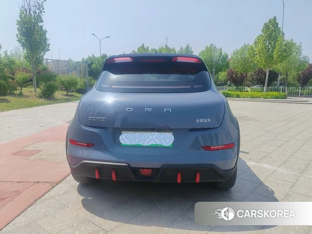 Euler Good cat GT 2023 Темно-серый из Китая, фото 5