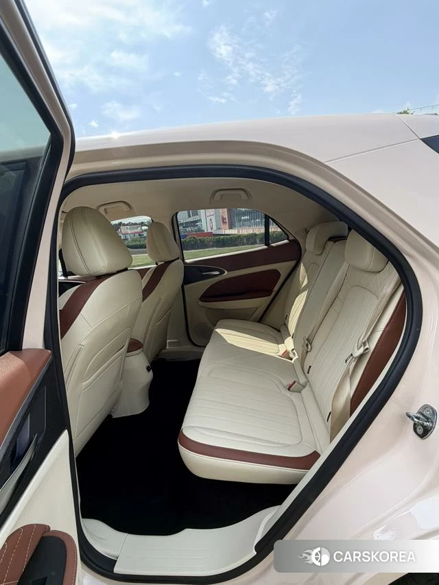 Euler Good cat 2023 Другой из Китая, фото 5