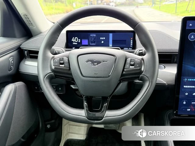 Ford Electric horse 2022 Другой из Китая, фото 5