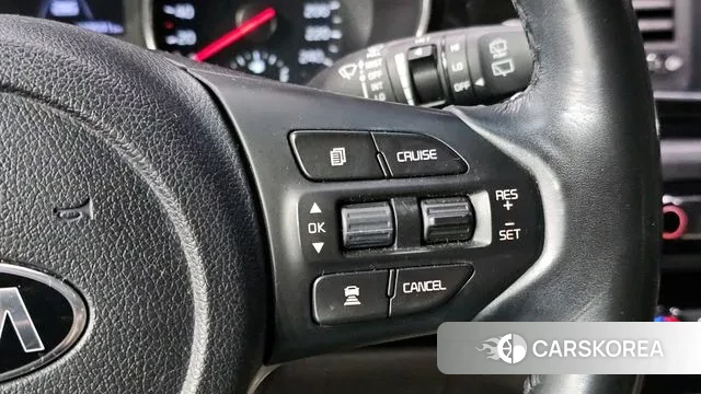 Kia The New Carnival 2018 Белый из Кореи, фото 5