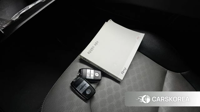 Kia The New Ray 2020 Жемчужный цвет из Кореи, фото 5