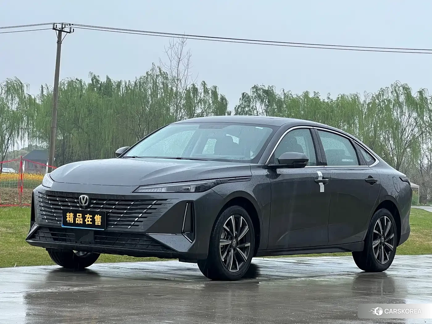 Chang'an Yidong 2025 Silver/gray из Китая, фото 5