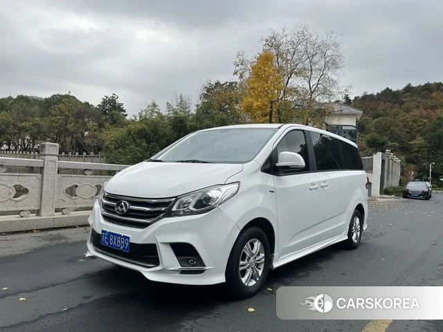 Chase G10 2018 Белый из Китая, фото 5
