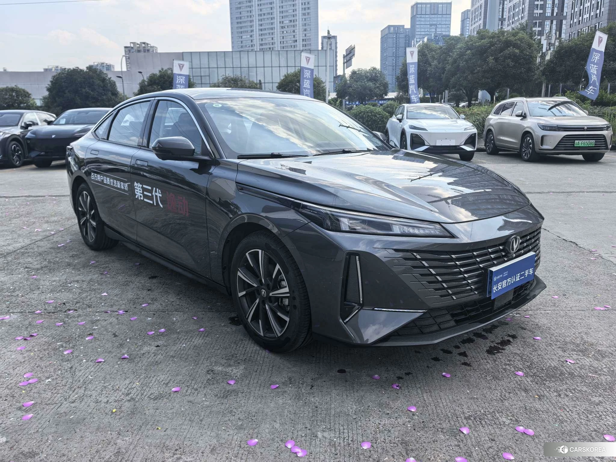Chang'an Yidong 2024 Темно-серый из Китая, фото 5