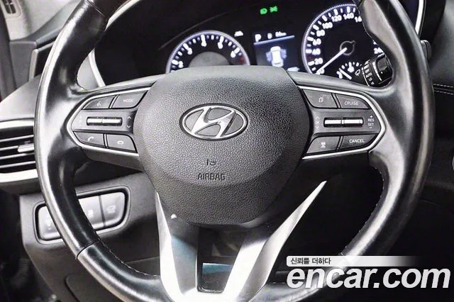 Hyundai Santa Fe TM 2020 Цвет тростника из Кореи, фото 5