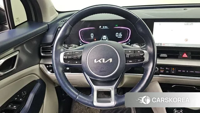 Kia Sportage 5th Generation 2021 Цвет тростника из Кореи, фото 5
