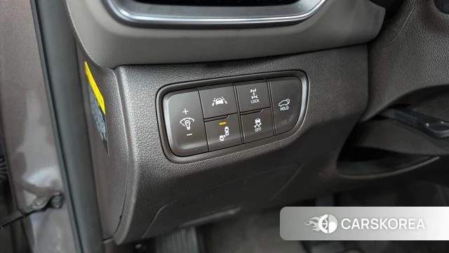 Hyundai Santa Fe TM 2018 Цвет тростника из Кореи, фото 5