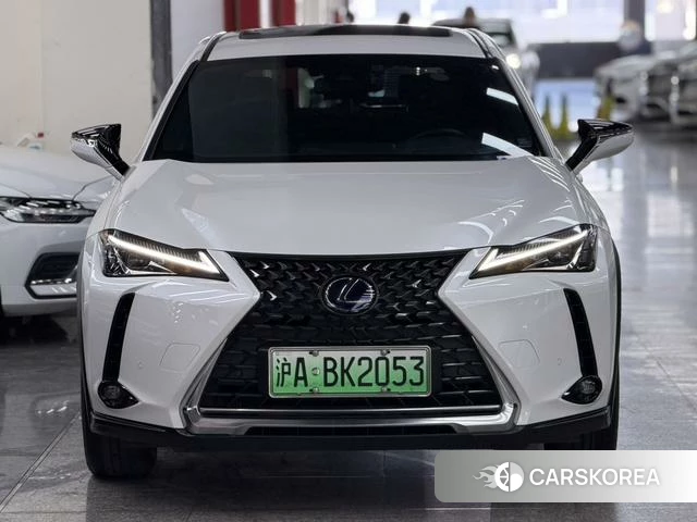 Lexus UX EV 2023 Белый из Китая, фото 5