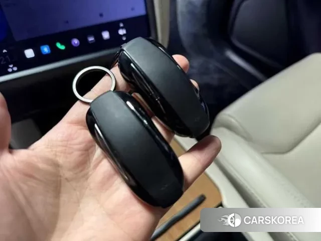 Tesla Model X 2020 Белый из Кореи, фото 5