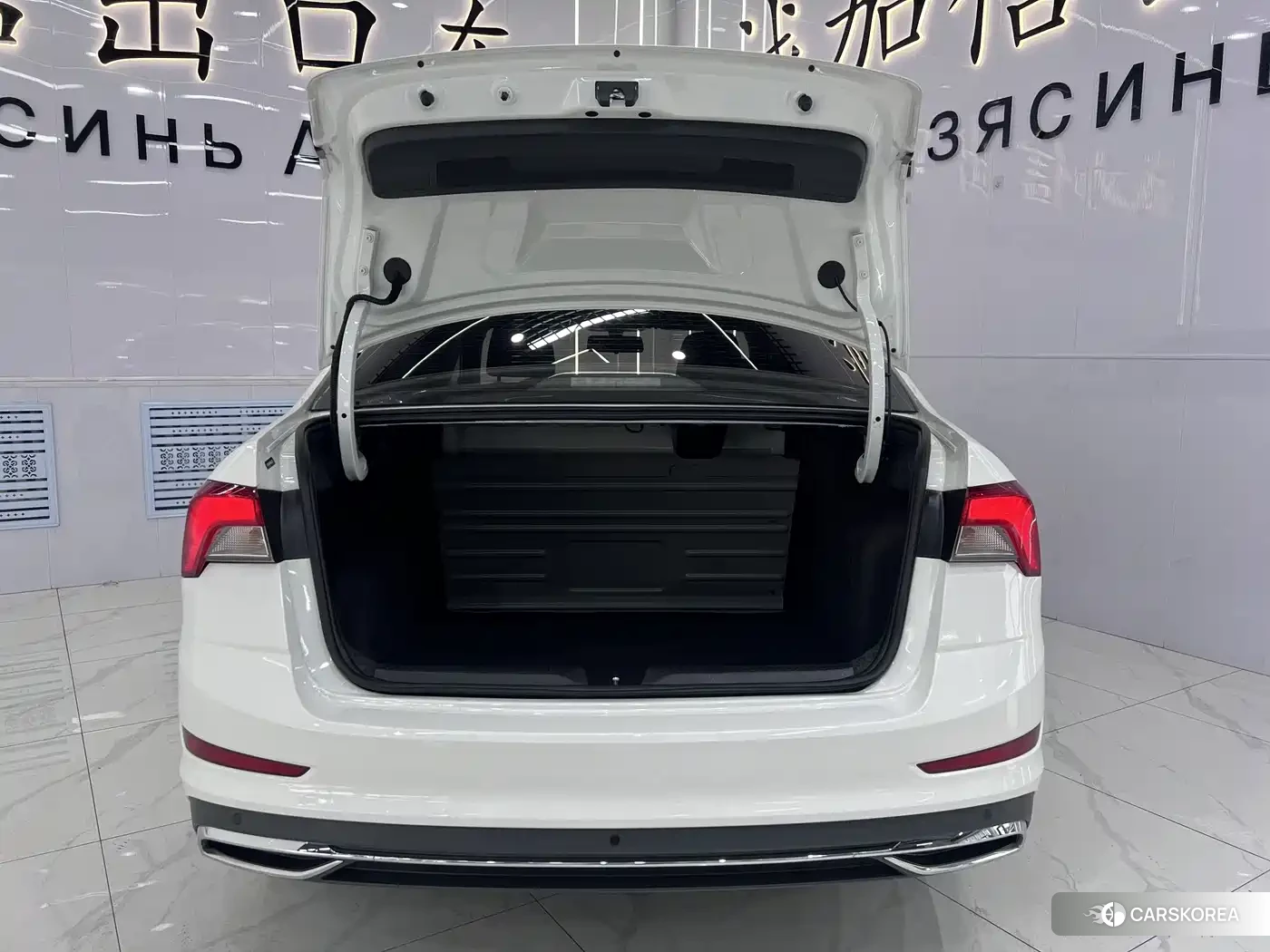 Skoda Xin Rui 2022 Белый из Китая, фото 5