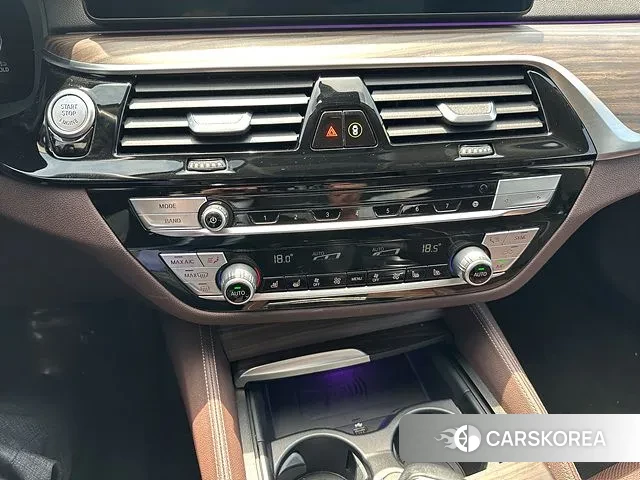 BMW 5 Series (G30) 2020 Цвет тростника из Кореи, фото 5