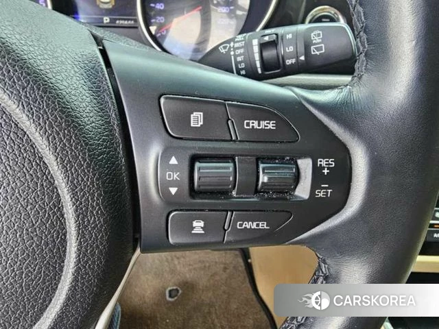 Kia The New Carnival 2019 Белый из Кореи, фото 5