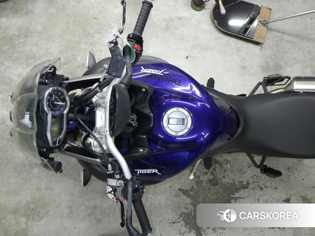 Triumph TIGER 800 2014 из Японии, фото 2