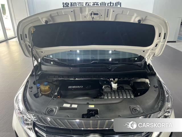 GAC Trumpchi Trumpchi M8 2020 Белый из Китая, фото 5