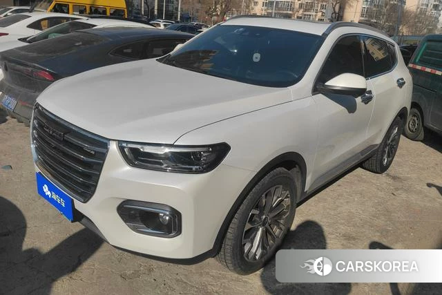 Haval H6 2020 Белый из Китая, фото 5