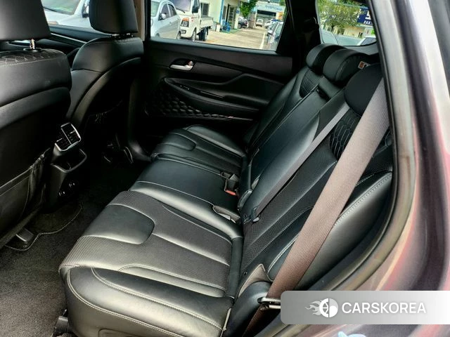 Hyundai Santa Fe TM 2019 Цвет тростника из Кореи, фото 5