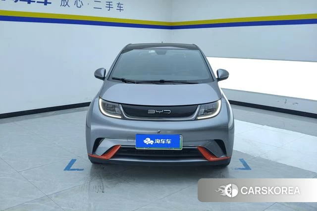 BYD dolphin 2023 Темно-серый из Китая, фото 5