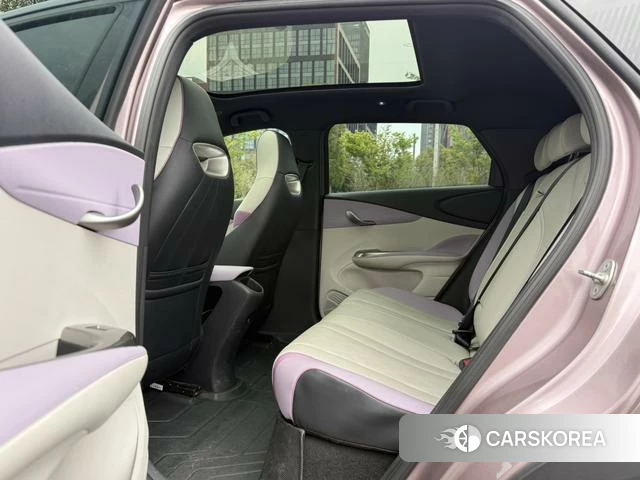 BYD dolphin 2024 Другой из Китая, фото 5