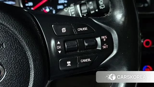 Kia The New Carnival 2020 Белый из Кореи, фото 5