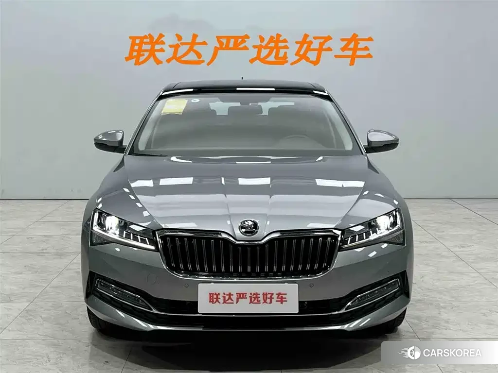 Skoda Speed pie 2024 Silver/gray из Китая, фото 5
