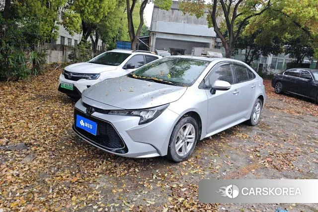 Toyota Lei Ling 2022 Серебристо-серый из Китая, фото 5