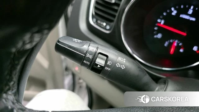 Kia The New Carnival 2019 Белый из Кореи, фото 5