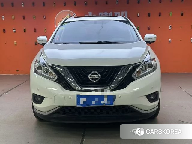 Nissan Loulan 2018 Белый из Китая, фото 5