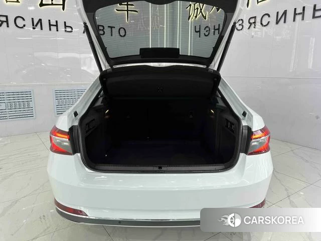 Skoda Speed pie 2023 Белый из Китая, фото 5