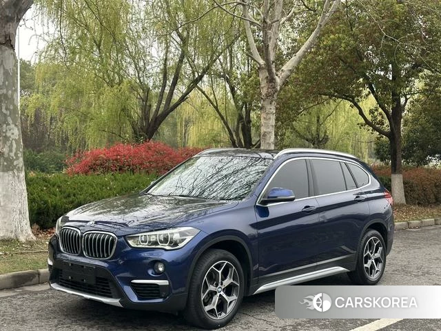 BMW X1 2019 Синий из Китая, фото 5