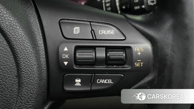 Kia The New Carnival 2019 Серый из Кореи, фото 5