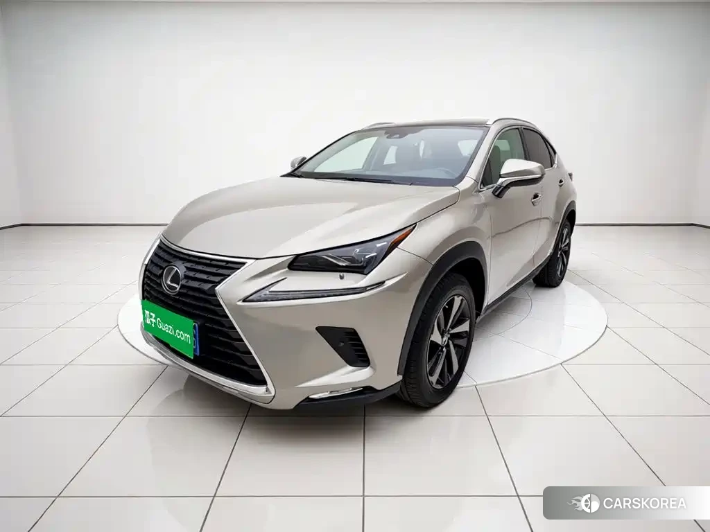 Lexus NX 2021 Silver/gray из Китая, фото 5