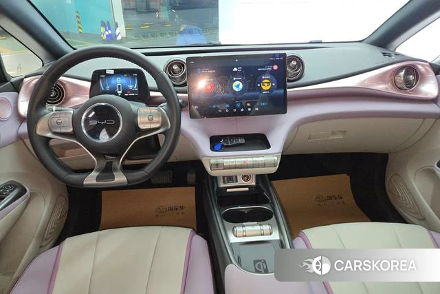 BYD dolphin 2023 Другой из Китая, фото 5