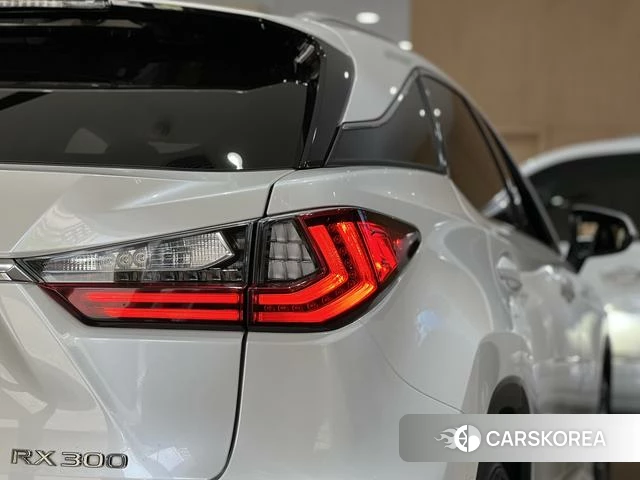 Lexus RX 2019 Белый из Китая, фото 5