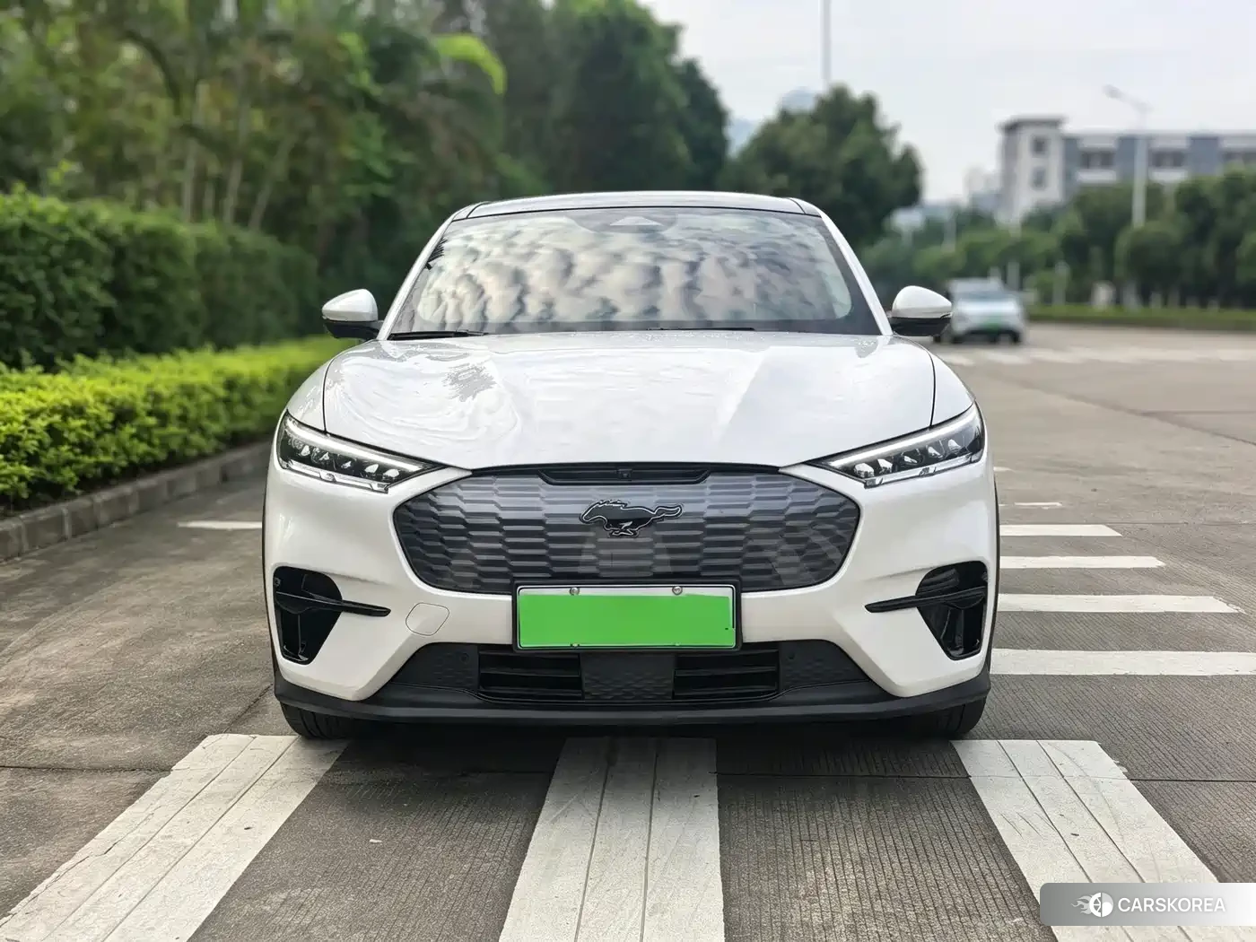 Ford Electric horse 2023 Белый из Китая, фото 5