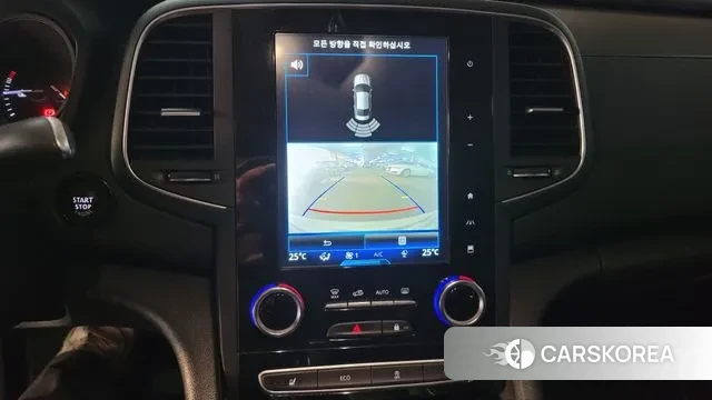 Renault Korea (Samsung) SM6 2019 Жемчужный цвет из Кореи, фото 5