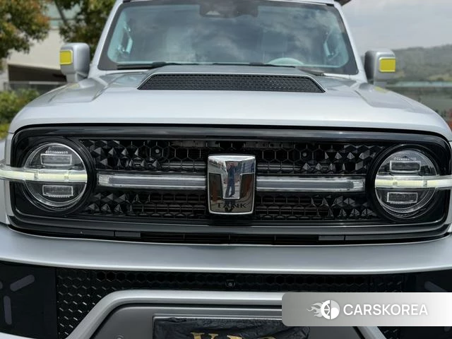 Tank Cyber 300 2022 Серебристо-серый из Китая, фото 5